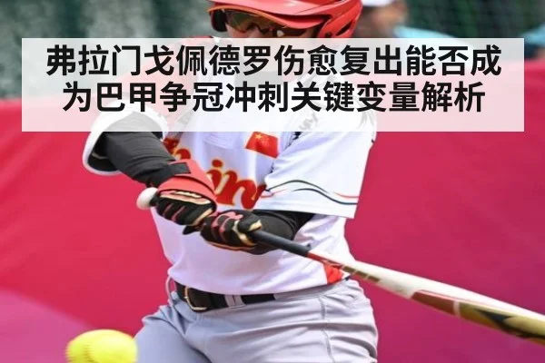 弗拉门戈佩德罗伤愈复出能否成为巴甲争冠冲刺关键变量解析